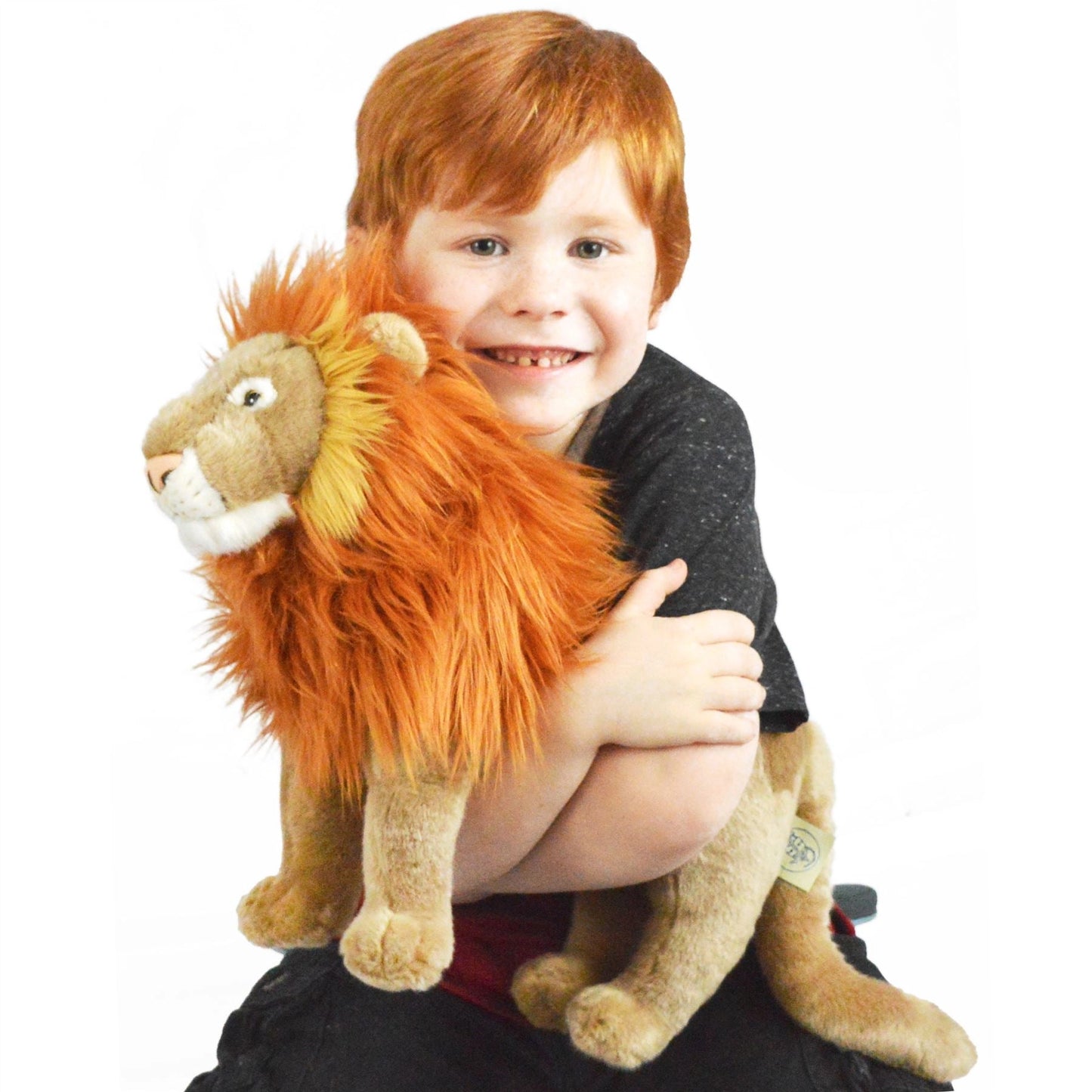 Leif the Lion | 16 Inch