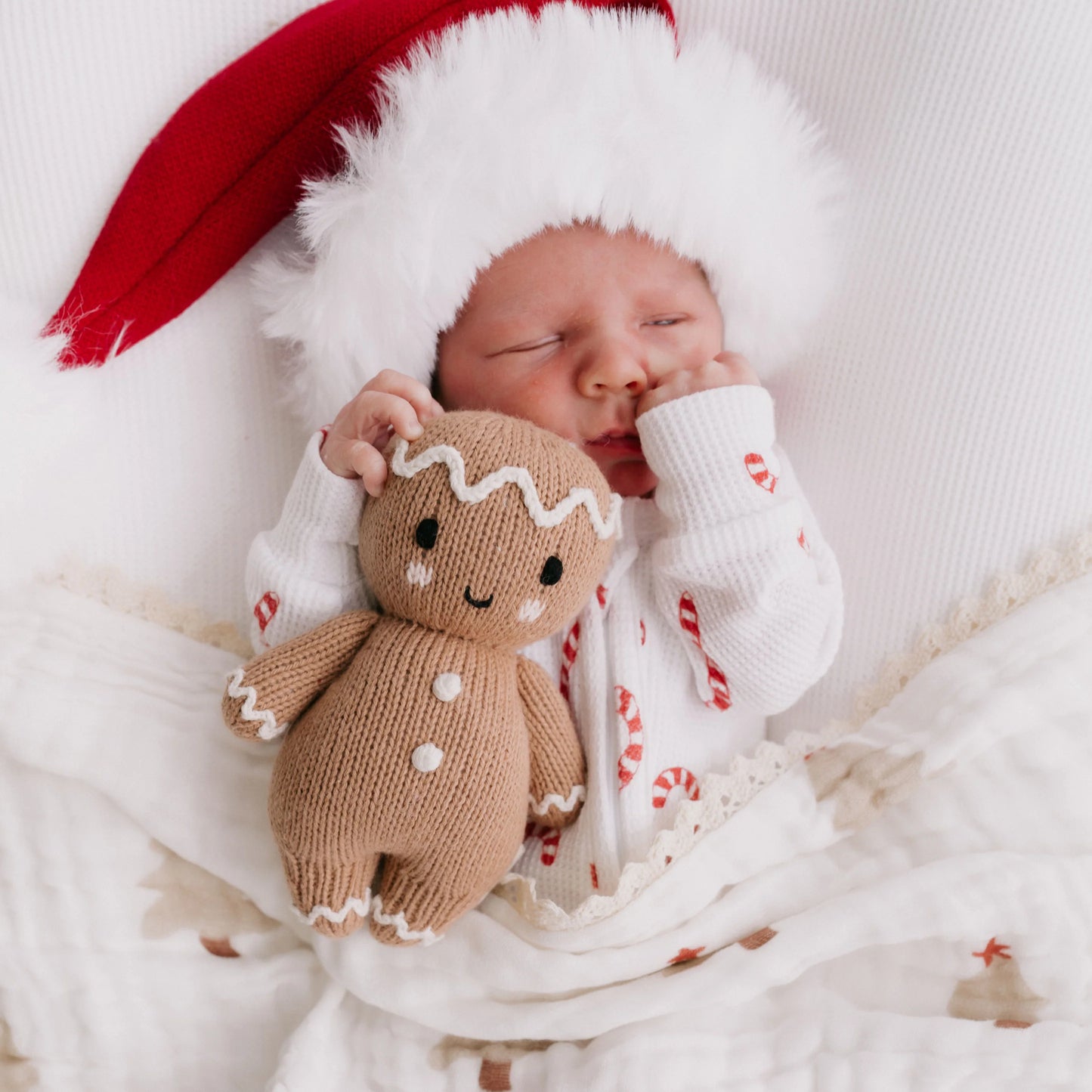 Baby Gingerbread | White Icing