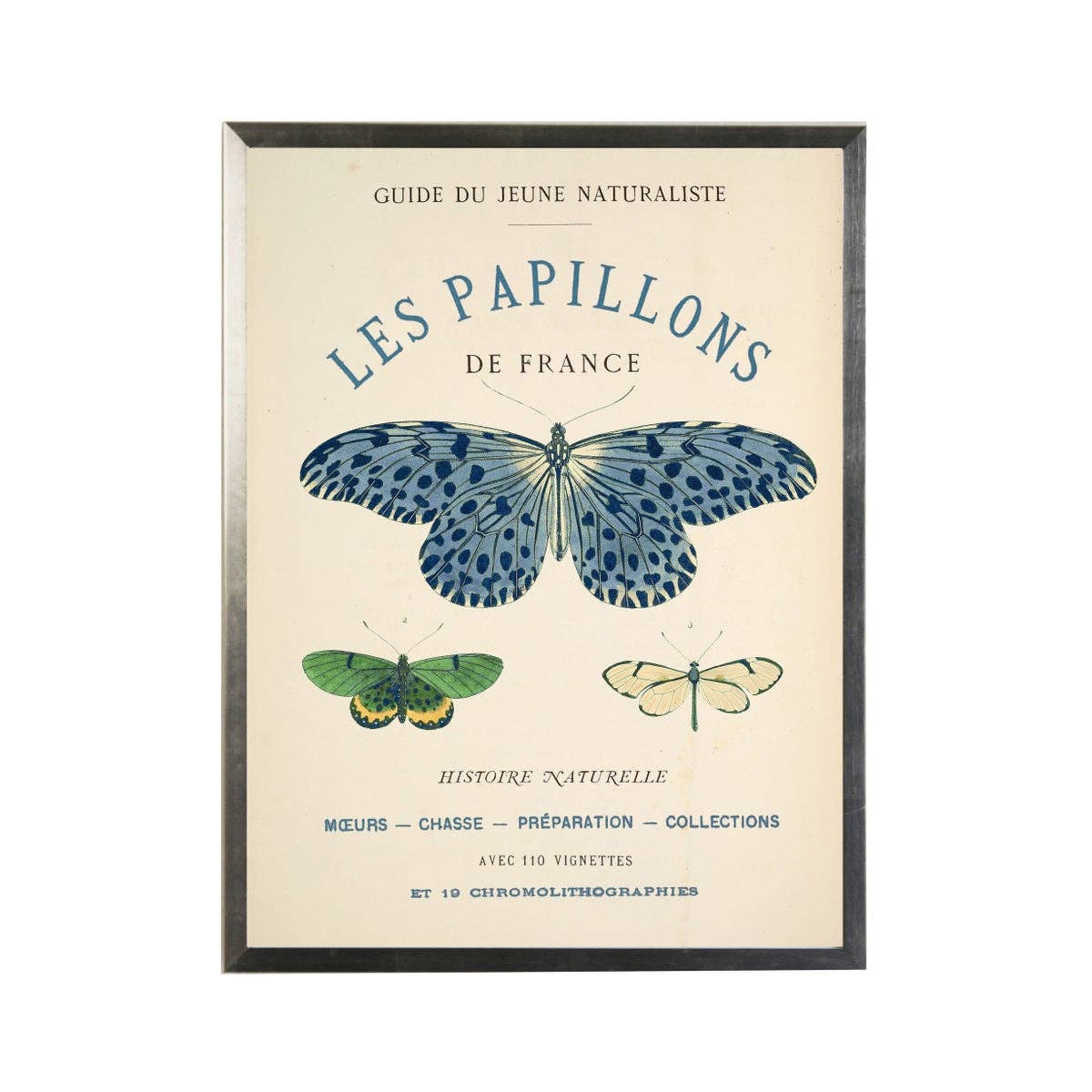 Navy + Green Butterflies On Title Page II | 18 x 24