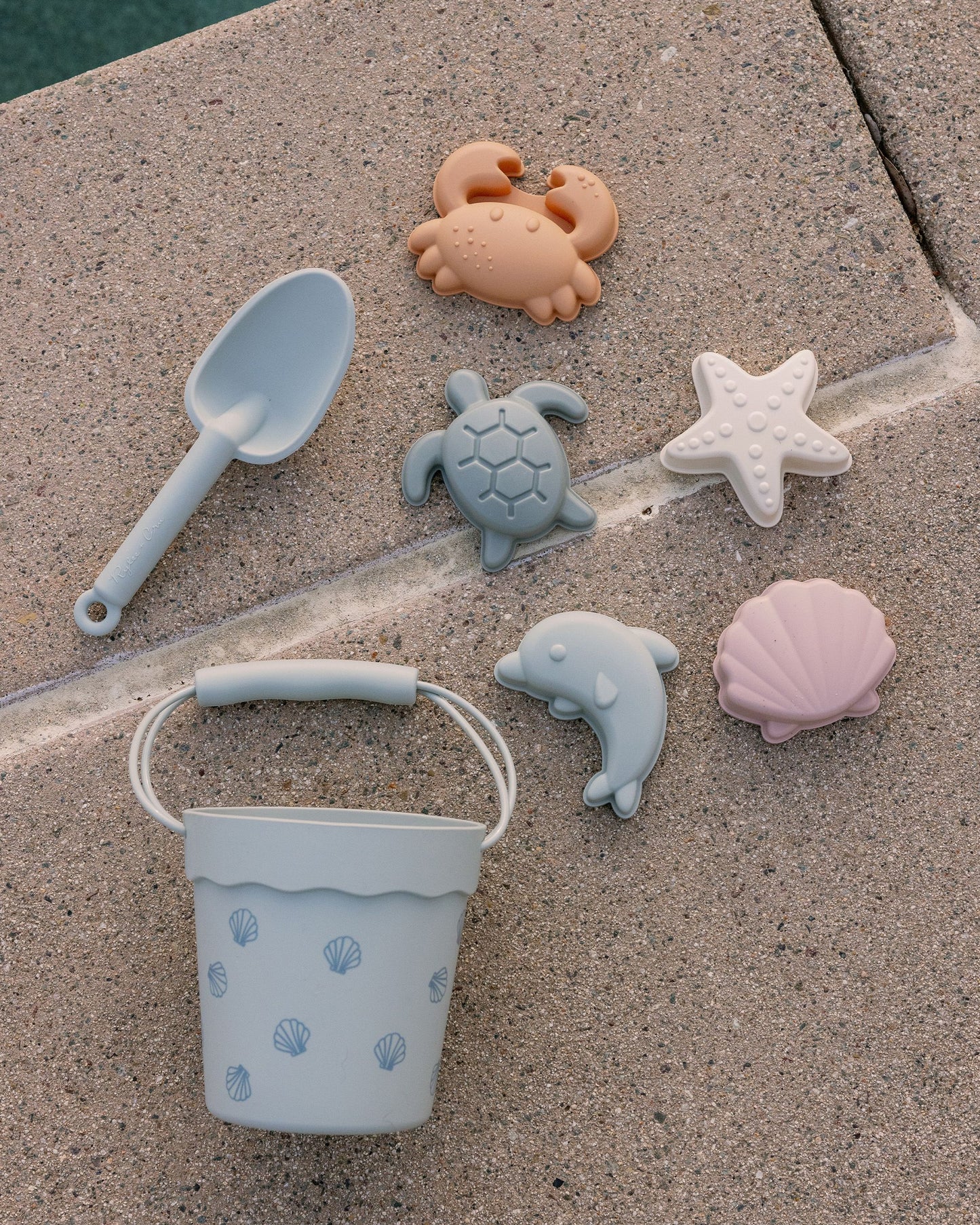 Beach Toys | Shells