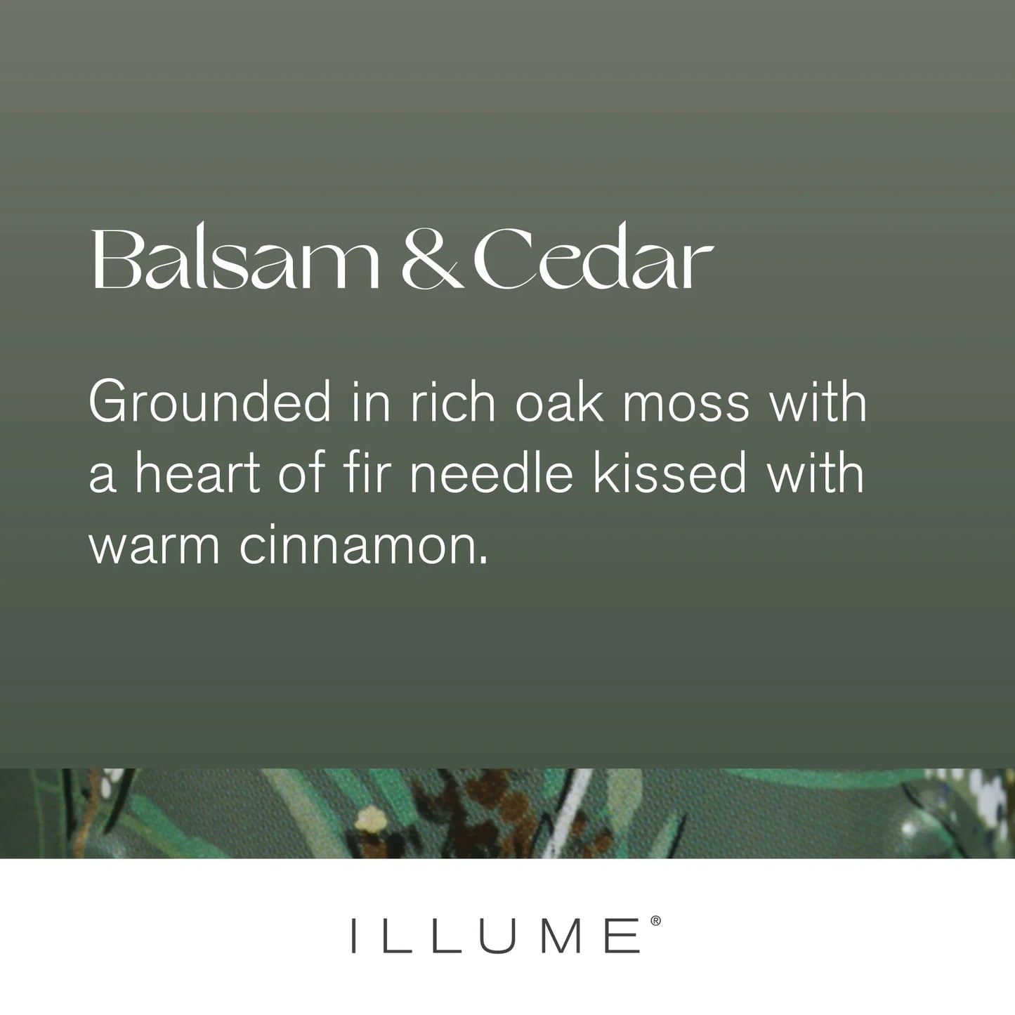 Balsam & Cedar Fragranced Pillar Candle | Medium