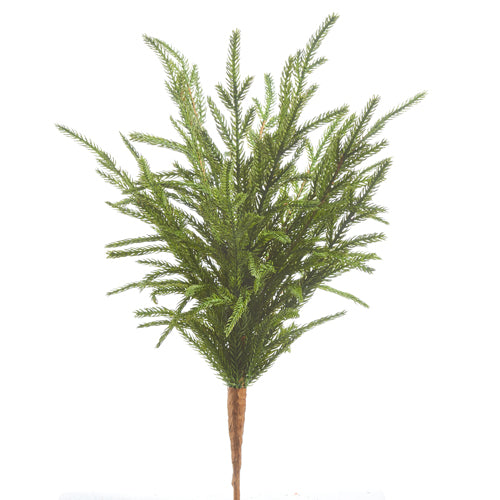 Soft Touch Norfolk Pine Pick | 18"