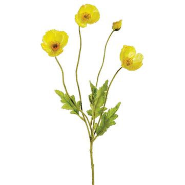 Poppy Spray | Yellow