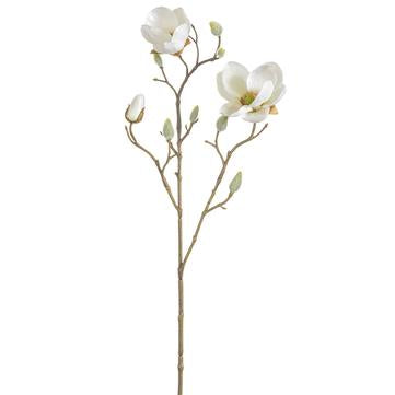 21" Japanese Magnolia Spray  | Cream