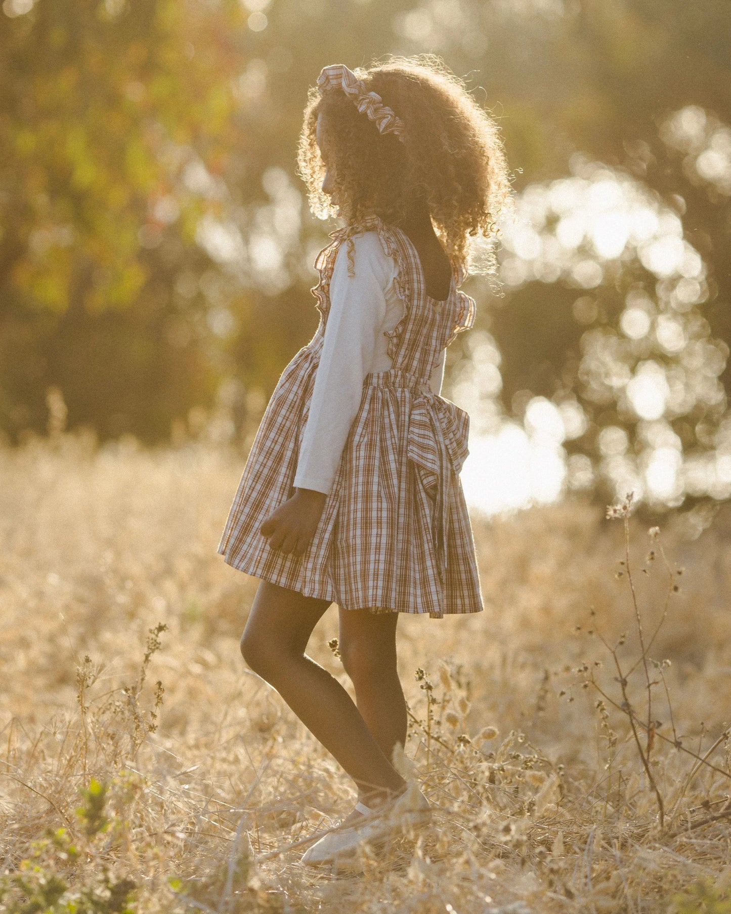 Agatha Dress | Copper Plaid