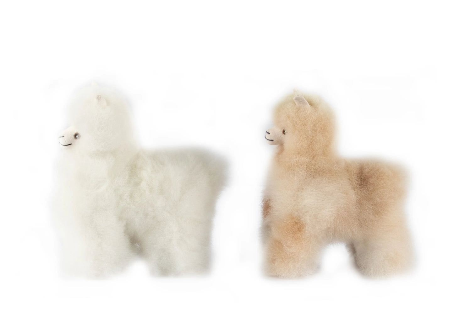 Alpaca Collectible | S