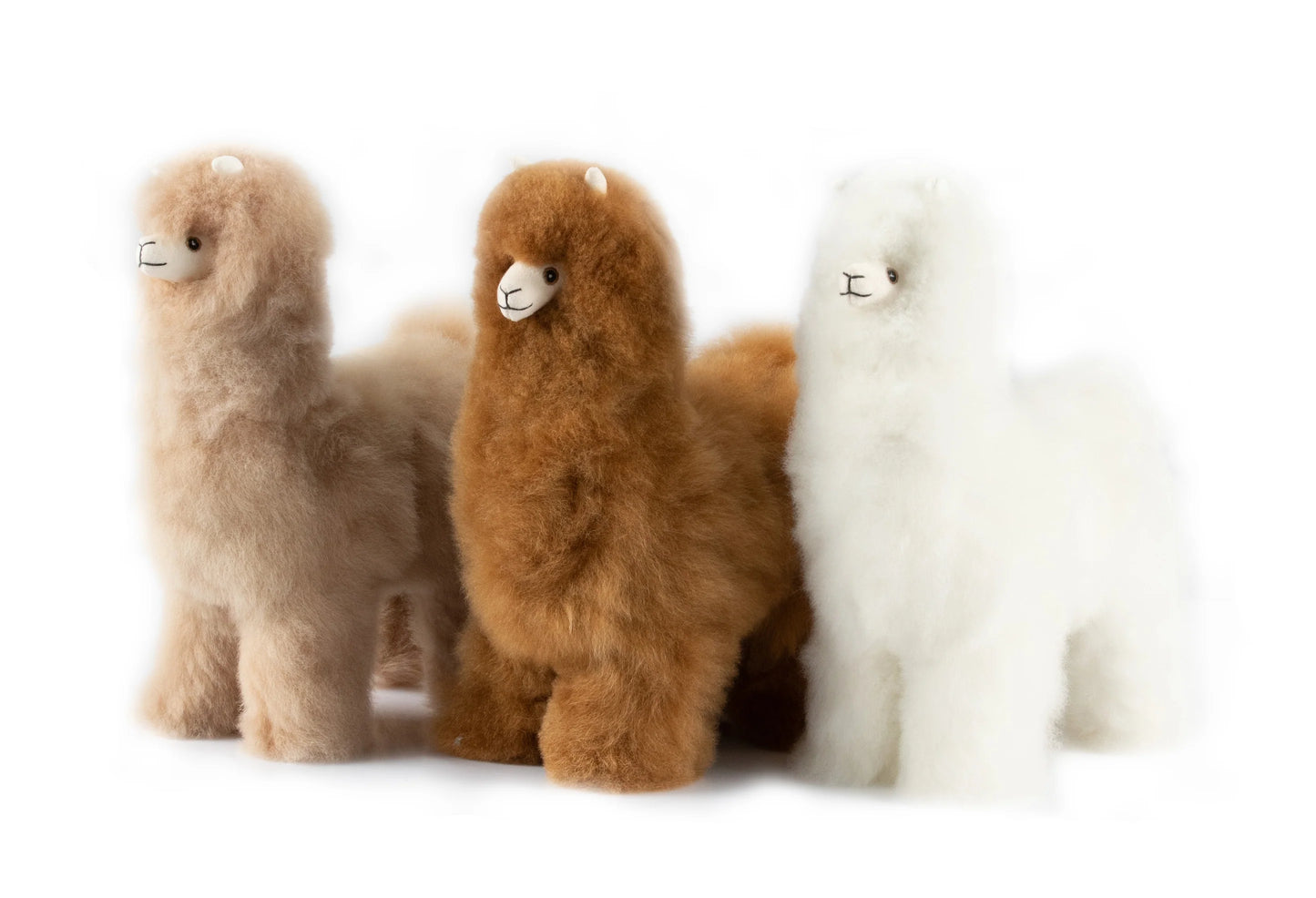 Alpaca Collectible | S