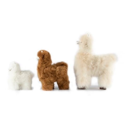 Alpaca Collectible | M