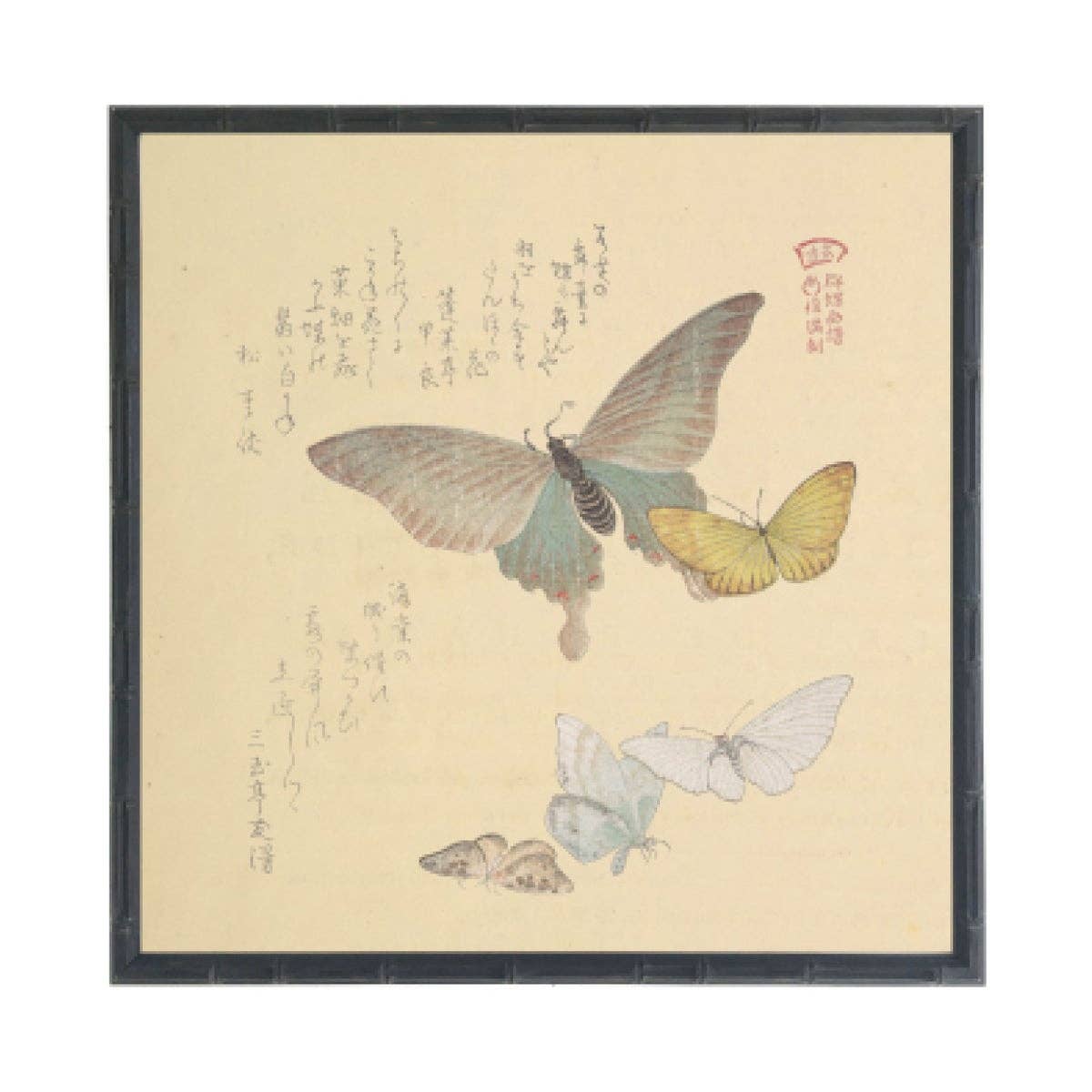 Asian Butterfly D | 12 x12 | Gold Frame