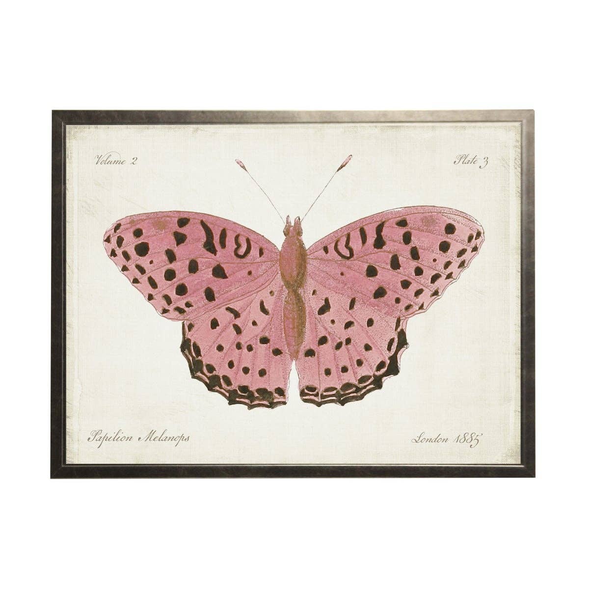 Plate 3 Pink Butterfly | 22 x 28