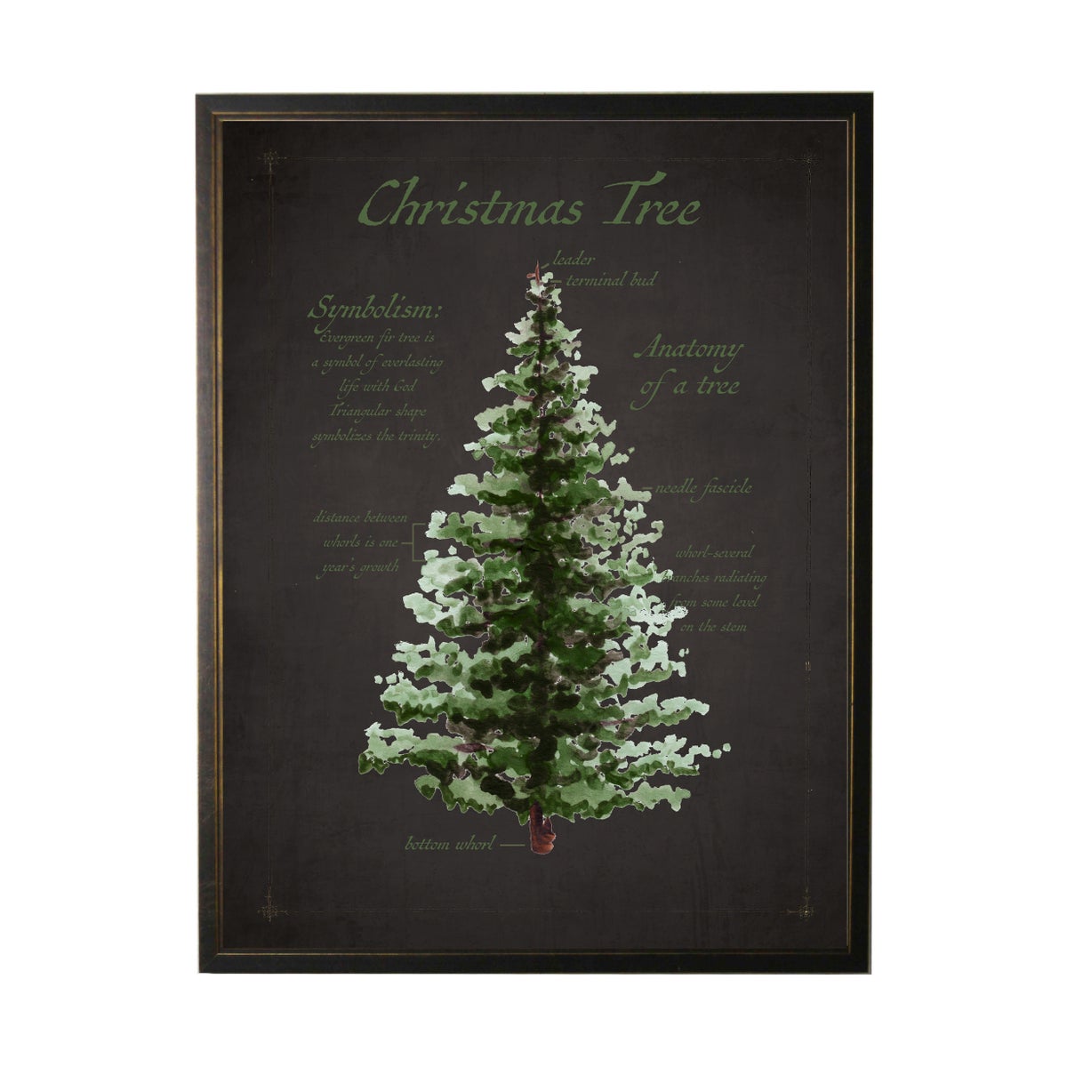 Christmas Tree On Black Background | 12x16