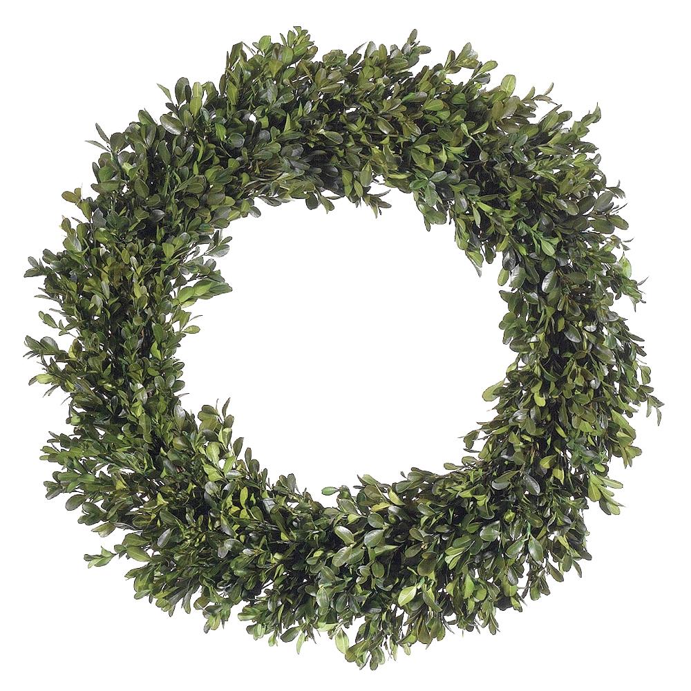 22" Preserved Boxwood Wreath