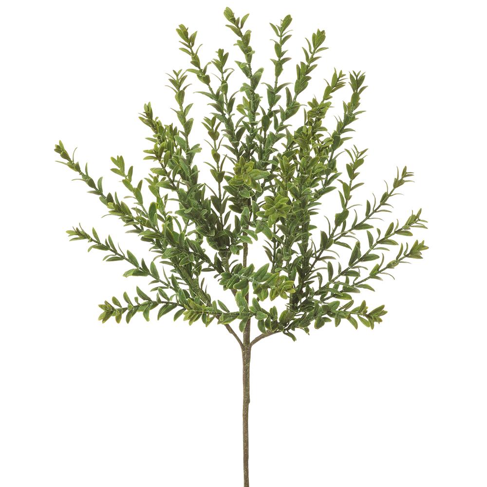 22" Mini Boxwood Bush | Green