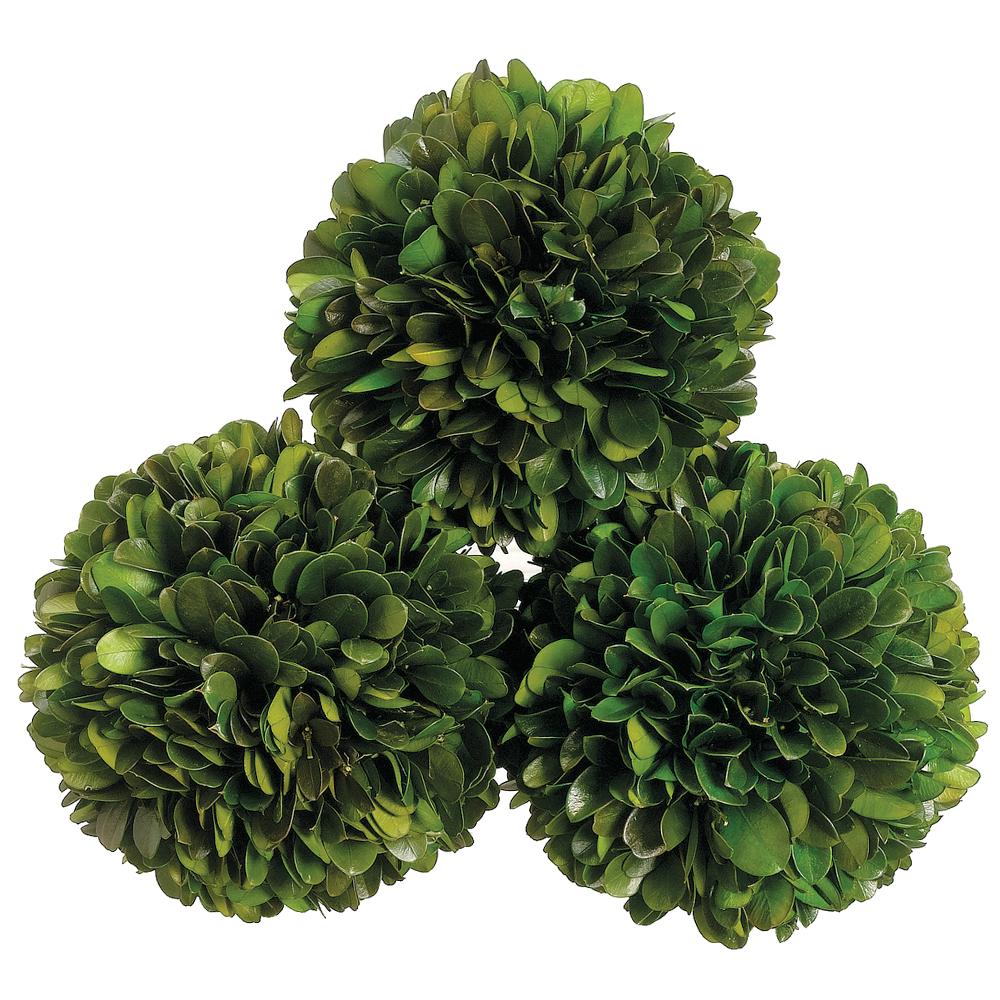 4.3" Preserved Boxwood Ball