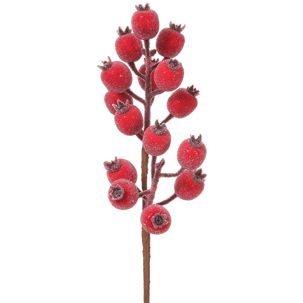 13" Rosehip Spray | Red