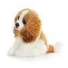 Cavalier King Charles Small | Kingsley