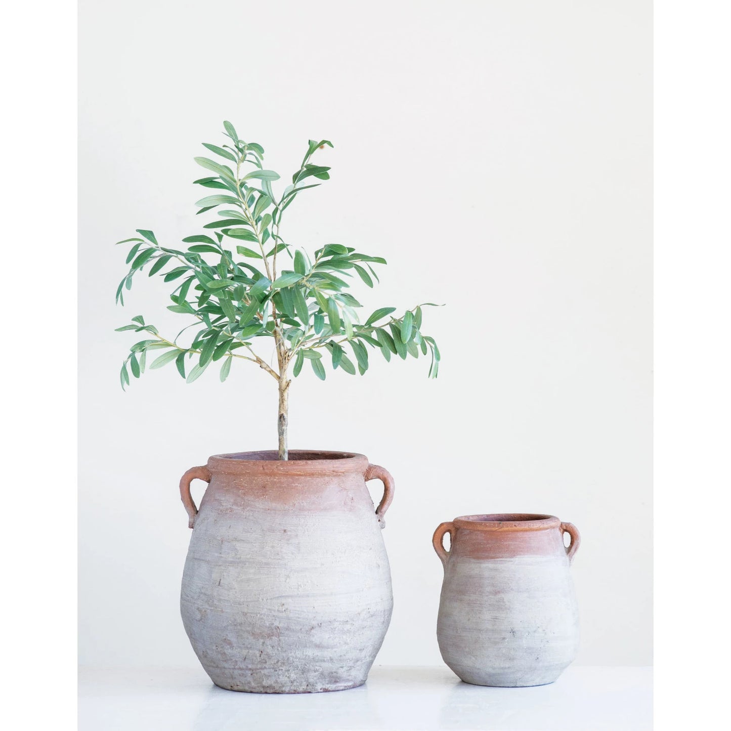 Terracotta Urn with Whitewash Finish