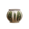 Hand-Painted Stoneware Vase | Green/Cream