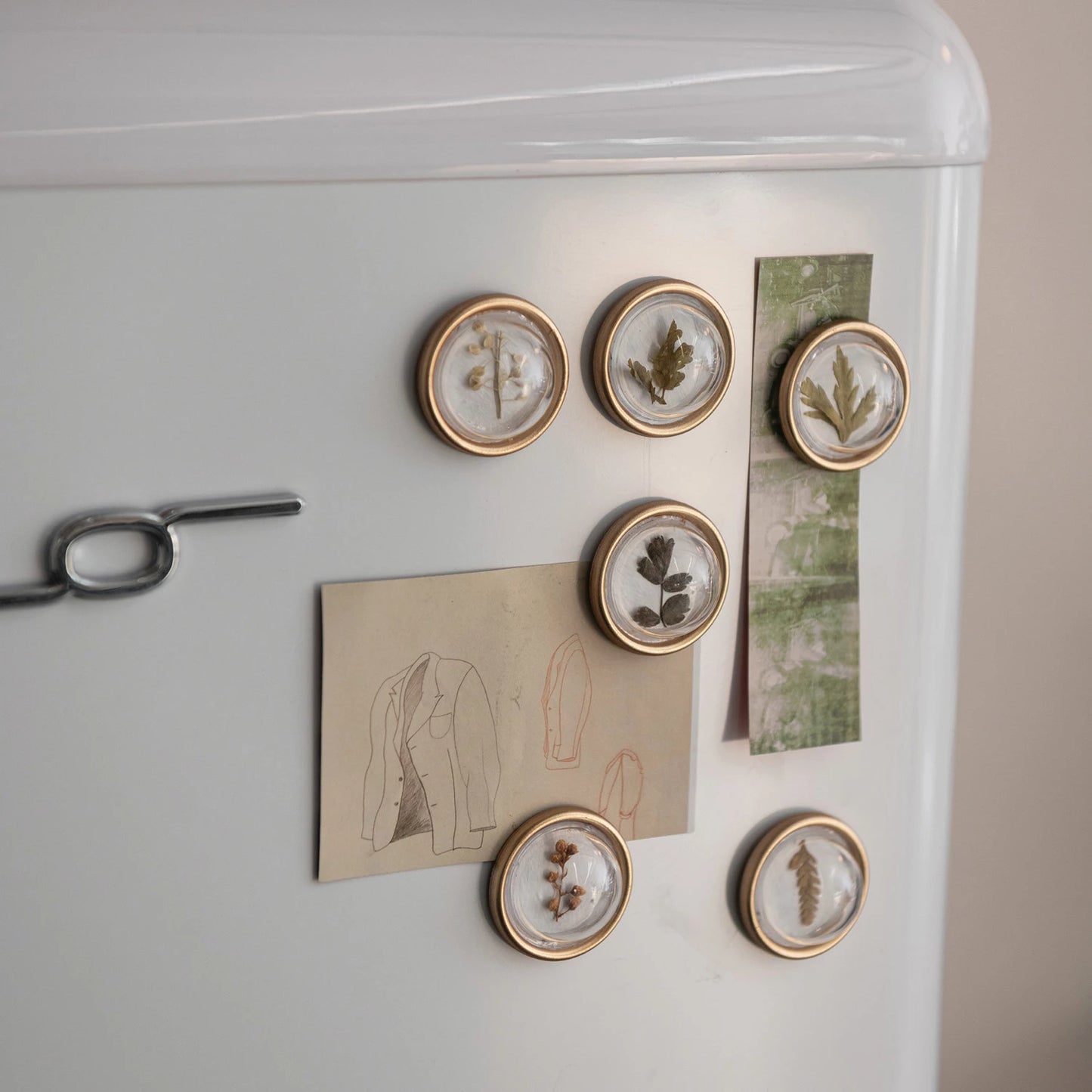 Metal Magnets on Card w/Dried Botanicals | Set of 6