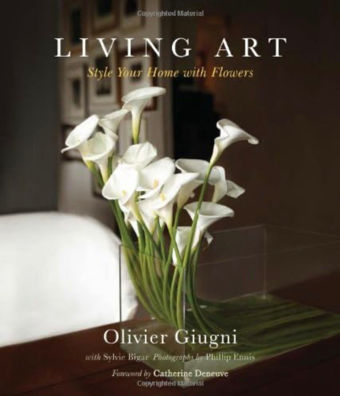 Living Art Coffee Table Book