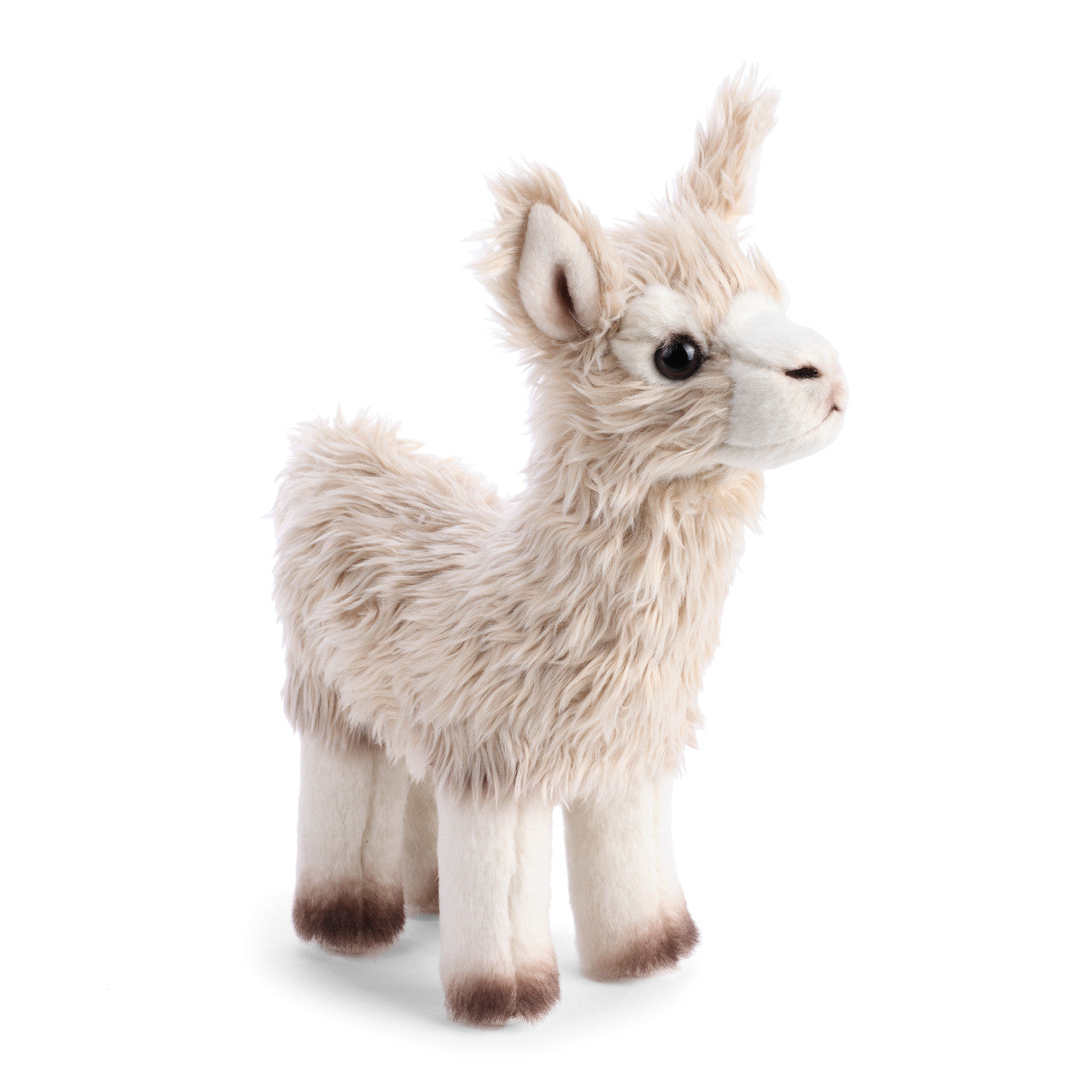 Llama | Small