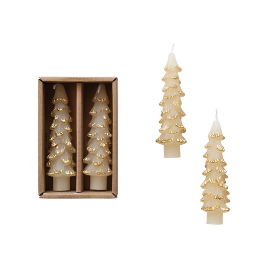 Tree Shaped Taper Candes in Box | Cream w/Gold Tips | 5"