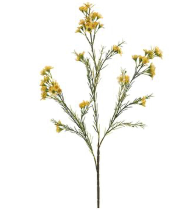 27” Waxflower Spray - Yellow