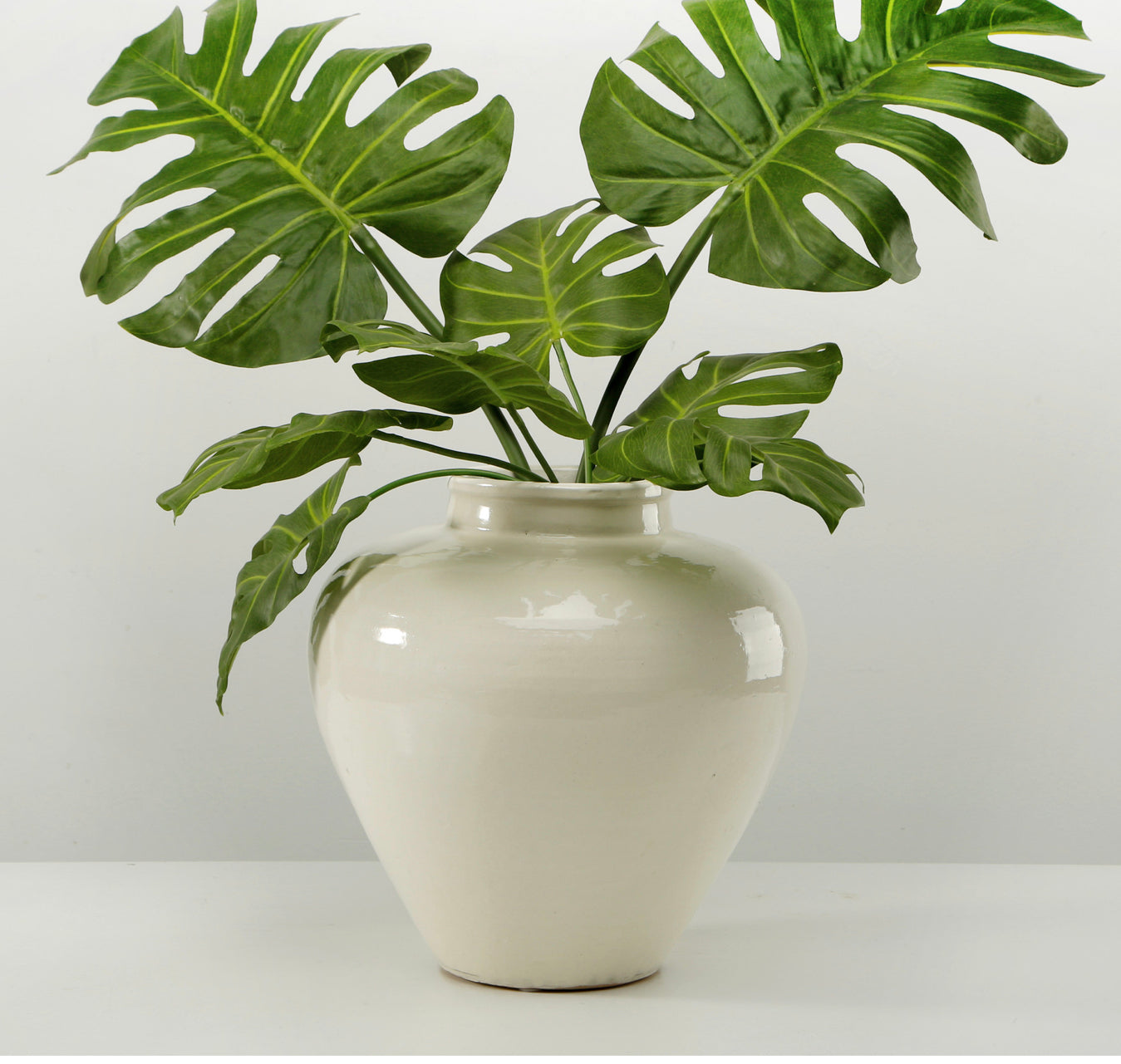 12 Off White Tapered Vase – Madison Grace Home