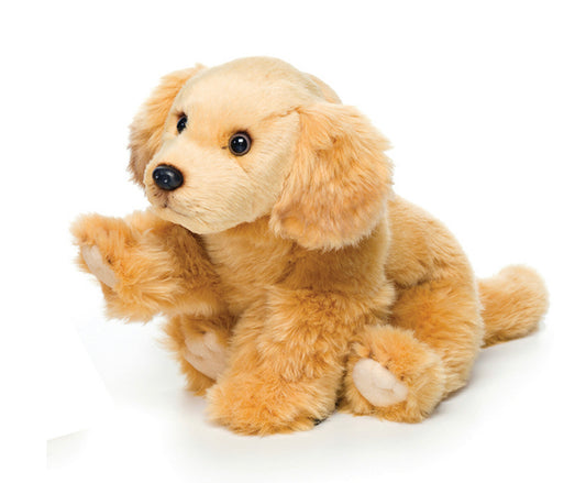 Golden Retriever | Large